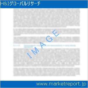 市場と産業調査レポートのイメージ